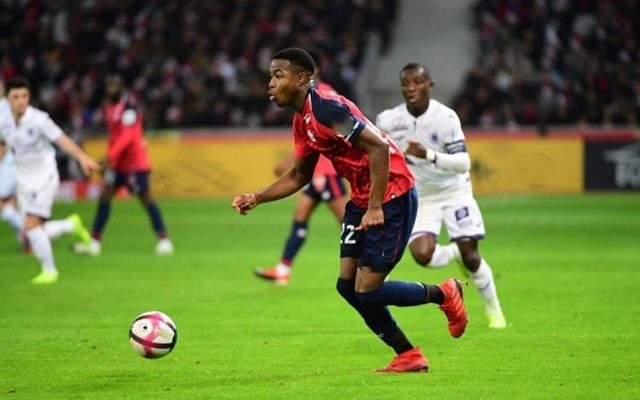 力探寻的宝 力探寻的宝