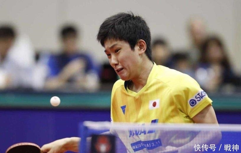 这次盛会不 这次盛会不