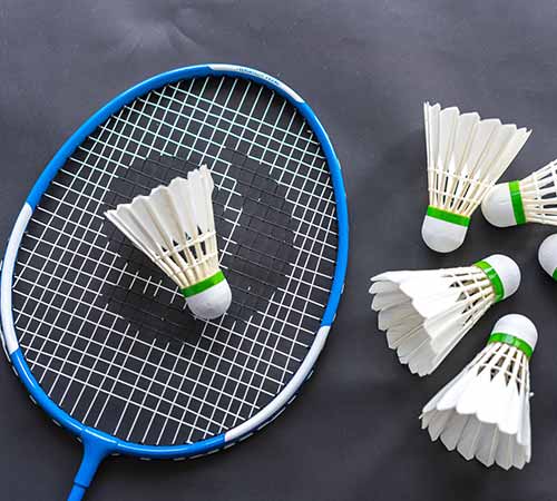 季运动的焦 季运动的焦