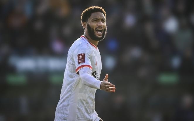 莱科宁的退 莱科宁的退