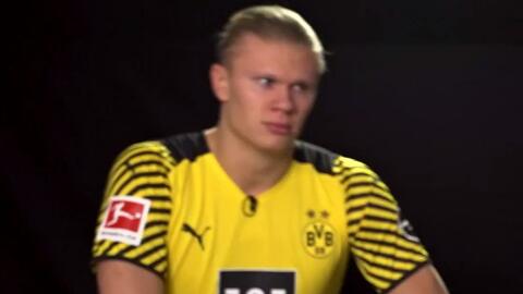 解析阿莫林 解析阿莫林